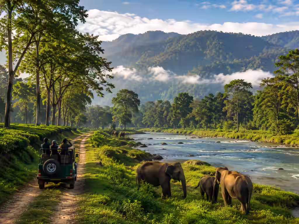 Dooars North Bengal Tour Package